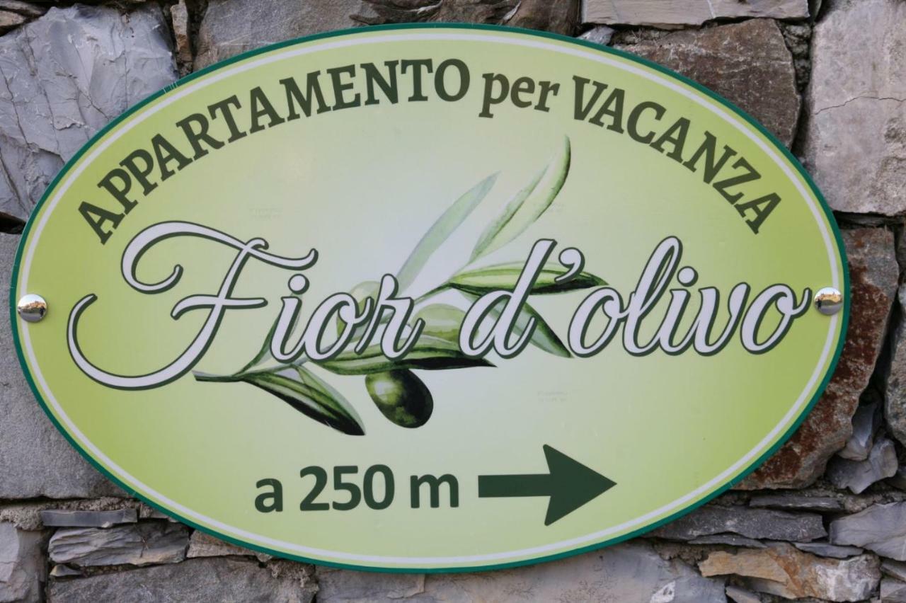 Appartamento Fior d'olivo Santo Stefano del Ponte Esterno foto